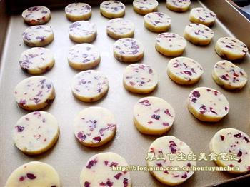 经典蔓越莓饼干-附旧物改造饼干模具的做法步骤11