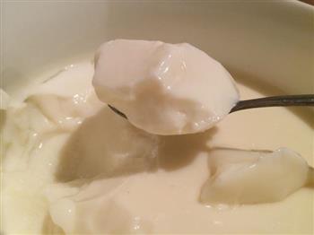 牛奶炖蛋的做法步骤6