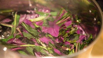 女人不能少不了深绿色蔬菜-小米辣拌紫背天葵的做法图解1