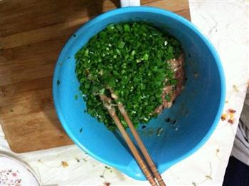 韭菜猪肉水饺的做法步骤3