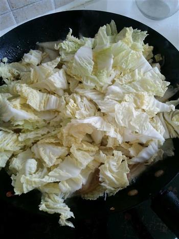 大白菜炖粉条的做法步骤6