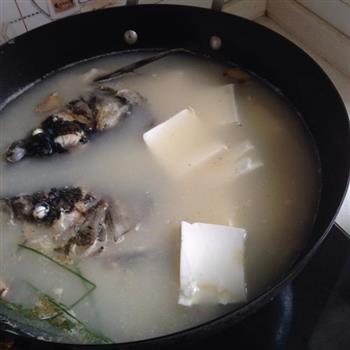 红烧鱼段和鱼头豆腐汤的做法图解7