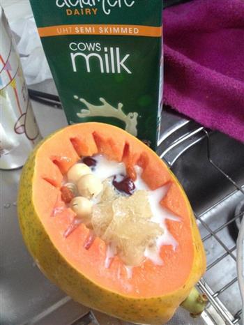 木瓜炖牛奶小白的做法步骤4