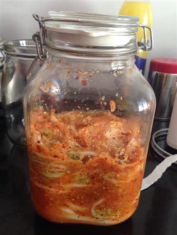 韩国泡菜 Kimchi的做法步骤7