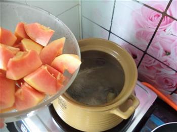 红枣鲫鱼木瓜汤的做法步骤9