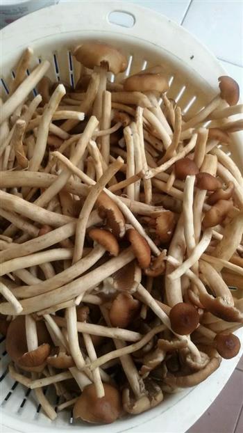 茶树菇炖土公鸡的做法图解2