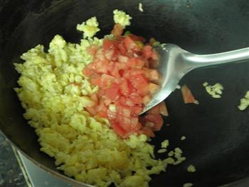 西红柿鸡蛋炒饭的做法步骤9