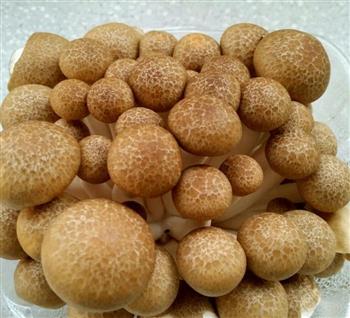 清炒芦笋蟹味菇的做法步骤1