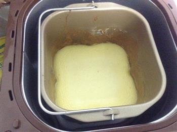 重乳酪蛋糕的做法步骤15