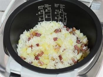 土豆香肠焖饭的做法图解7