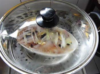 豉椒清蒸鱼片的做法步骤5