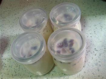 DIY红枣酸奶的做法图解7