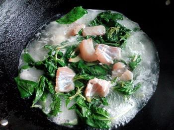 麻叶生滚鱼腩汤的做法图解6