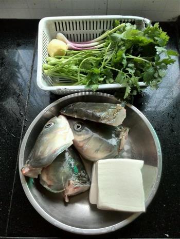 芫茜豆腐鱼头汤的做法步骤1