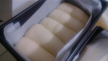 中种北海道吐司-无黄油版的做法图解6
