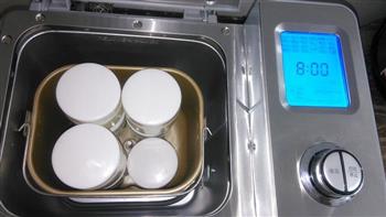 面包机自制无糖酸奶的做法步骤8