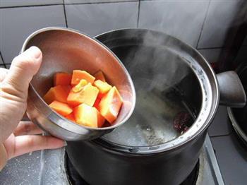 红枣鲫鱼木瓜汤的做法步骤8