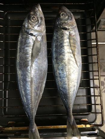 日式烤鱼的做法步骤1
