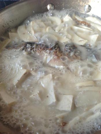 菌菇豆腐煲鲫鱼汤的做法图解11