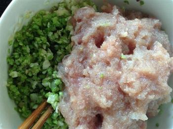 宝宝食谱-包菜豆角虾仁猪肉水饺的做法步骤4