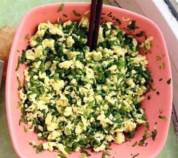 韭菜鸡蛋水饺的做法步骤7