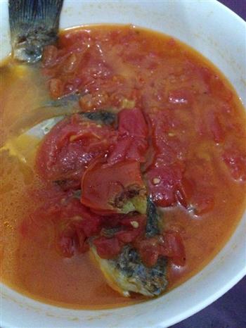 浓香番茄鲫鱼汤的做法步骤2