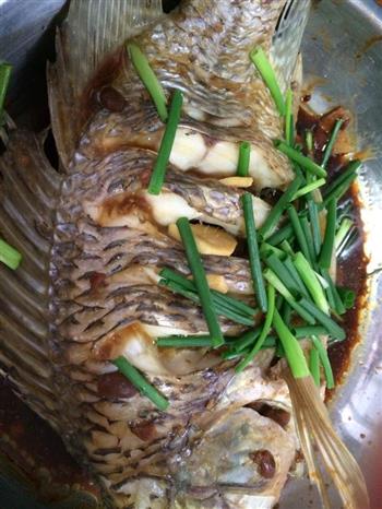 广东清蒸鱼的做法步骤5