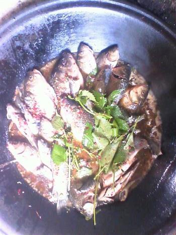 铁锅炖鱼的做法步骤2