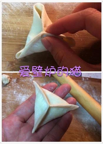 花式饺子-饺子的35种包法的做法步骤21
