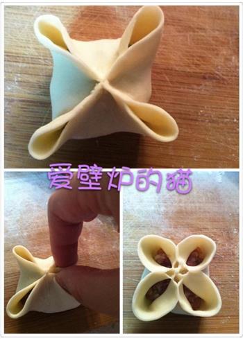 花式饺子-饺子的35种包法的做法步骤25