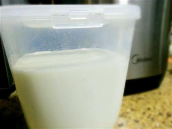 醇厚原味酸奶的做法步骤4