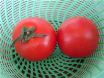 冰爽椰浆西红柿的做法图解1