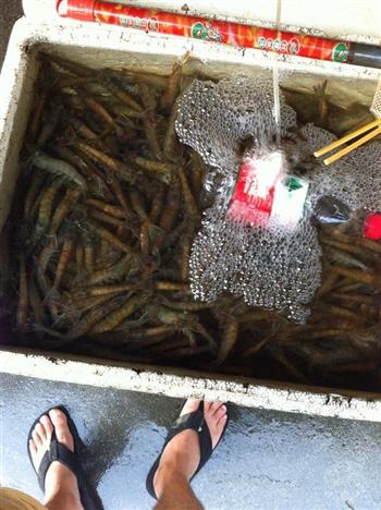 成都干锅虾的做法步骤1