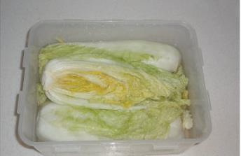 正宗韩式辣白菜的做法步骤4