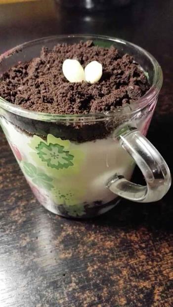 盆栽酸奶的做法图解6