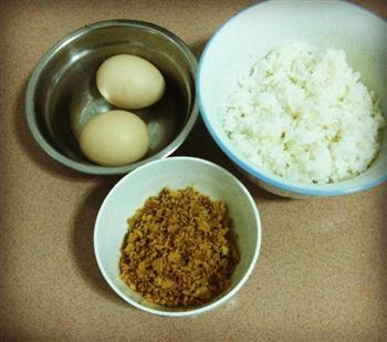 经济又简单的早餐-米饭肉松煎饼的做法图解1
