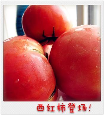 西红柿炖牛肉的做法步骤4