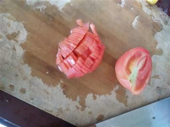 河南西红柿豆角焖面的做法步骤4