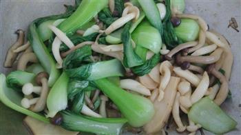 群菇烩油菜的做法图解6