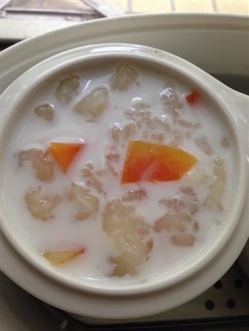 牛奶木瓜炖雪蛤的做法图解1