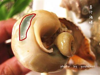 诱惑你的味蕾-姜汁海螺的做法图解5