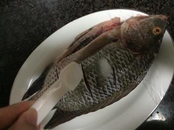 香煎酸梅鱼—罗非鱼的做法图解4