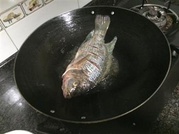 香煎酸梅鱼—罗非鱼的做法图解5