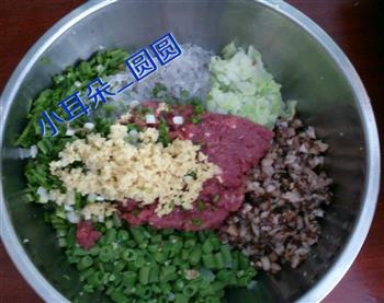 粗粮-红薯玉米面蔬菜粉条肉包子的做法步骤3