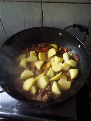 土豆焖鸭肉的做法步骤6