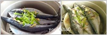 鲜鱼蒸着吃-清蒸鲅鱼的做法图解4