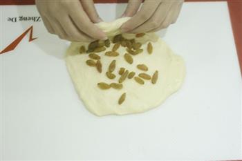 葡萄干司康小面包的做法步骤8