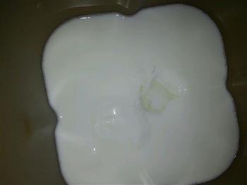 自制大果粒酸奶的做法图解4