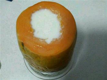 木瓜椰奶冻的做法步骤3