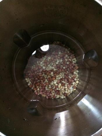 红豆薏米豆浆的做法步骤4